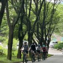 2026 06 07 용인-아시아나 cc 이미지