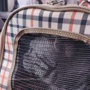 애옹이발소 이미지