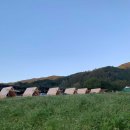 성주목장 이미지