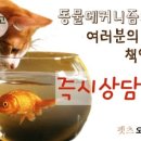 팔복이PC 네이버블로그