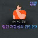 헬스 플렉스 이미지