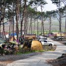 무창포솔원캠핑장 이미지