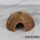 천연올