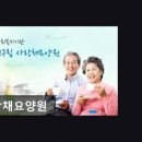 구립양천어르신요양센터 | 서울 금천구 요양센터 금천구립사랑채요양원 전문 케어서비스가 돋보이는 곳