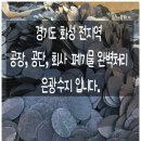 은광수지 이미지