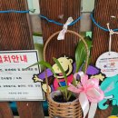 거북골 작은도서관 네이버블로그