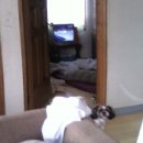 일운주공아파트 이미지