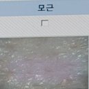 이성미베스트의원 | 탈모치료중