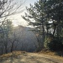 호국공원공중화장실 | 바래길 14코스) 이순신호국길 남해 새남해농협중현...복지센터-이순신순국공원-하동 남해대교교차로...