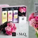 헤어라이 이미지