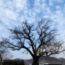 홍산 만덕교 이미지