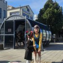 51 | [군산여행]군산 철길마을 후기 | 51개월 아이가 무지개길에 찐반응… 교복대여 스냅까지!