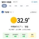 밀양 물안개 오토캠핑 후기
