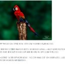 이쁘당 이미지