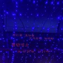 어부포차 이미지