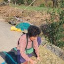 영온농장 이미지