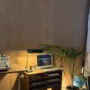 카페로베 - 창원시 진해구 여좌남로 80-1 | 카페로베
