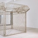 제주포도 이미지