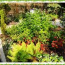 본오 초등학교 이미지