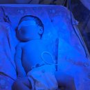 계명대학교 | 신생아 황달 입원 후기 계명대학교 동산병원 소아중환자실 두 번 입원 기록