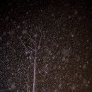 내린천의 봄 이미지