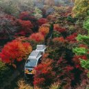 가을 끝자락 만추의 풍경 화담 숲 이미지