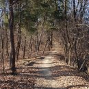 경북 경산 장군산 자락과 명곡지(흠실못), 공원 벤치 이미지