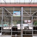 창조농장 이미지