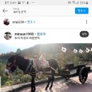 하동군청 이미지