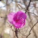 가평뒷동산길 이미지