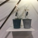 카페아리 이미지