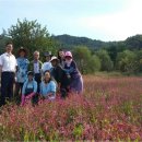 어름박골 쪽빛마을 이미지