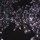 뚱땅뚱땅 이미지