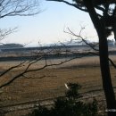 대산유리