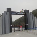 연이한이 이미지
