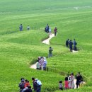 정천경 교무님의 보리밟기 이미지