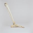 수암한의원 이미지