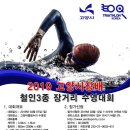 2019 고양시장배 철인3종 장거리 수영대회 요강 이미지