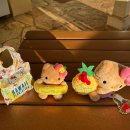 일중농장 | [하와이여행코스 5박7일] 2일차 하와이스노쿨링 샥스코브 탄키티 하와이마카다미아 하와이맛집새우트럭...