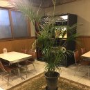 교동여관 이미지