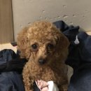 두리부동산공인중개사사무소 이미지