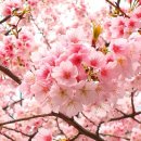 옥스퍼드어학원 이미지