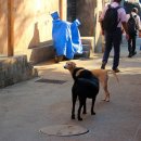 봄베이모텔 이미지