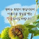 희망이 있는 세상 이미지