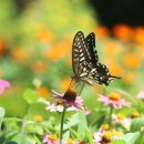 신구대학교 이미지