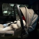 넥스트 | 신생아 카시트 추천 바구니 뉴나 피파넥스트 설치 사용 후기