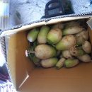 수지 농장 이미지