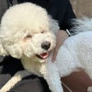 고덕유치원 이미지