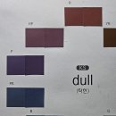 조색 dull톤 이미지