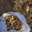 요선마을 이미지